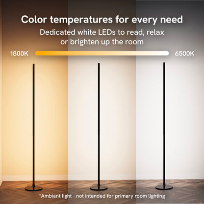 Aura Ambient Floor Lamp